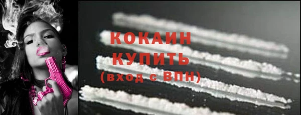 сатива Строитель