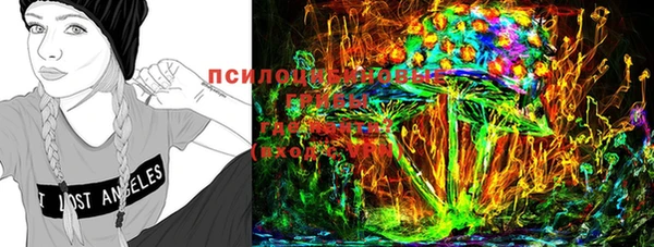 спиды Богданович