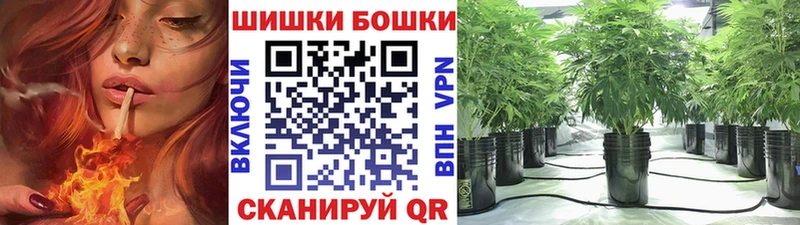 Бошки марихуана гибрид  Белово 